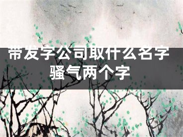 带发字公司取什么名字骚气两个字