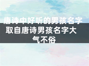 唐诗中好听的男孩名字 取自唐诗男孩名字大气不俗