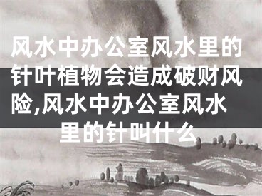 风水中办公室风水里的针叶植物会造成破财风险,风水中办公室风水里的针叫什么