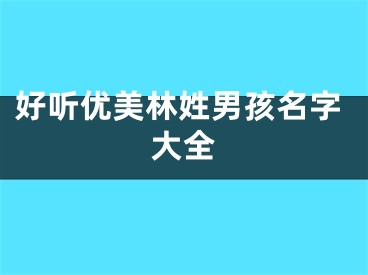 好听优美林姓男孩名字大全