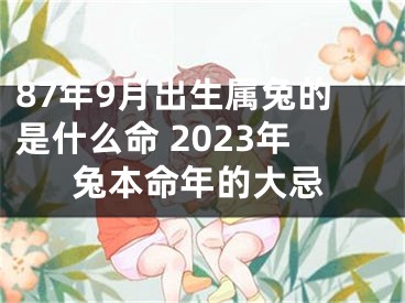87年9月出生属兔的是什么命 2023年兔本命年的大忌