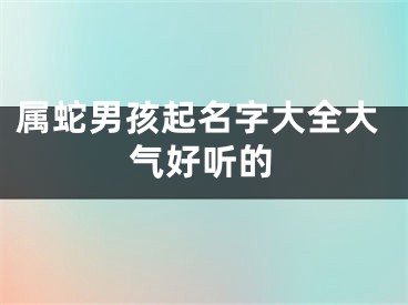 属蛇男孩起名字大全大气好听的