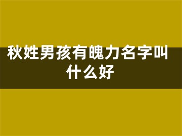 秋姓男孩有魄力名字叫什么好