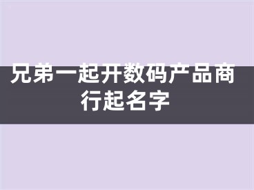 兄弟一起开数码产品商行起名字