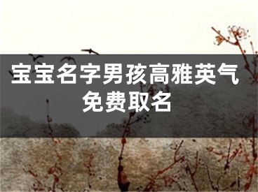 宝宝名字男孩高雅英气免费取名