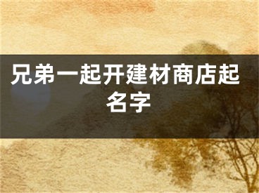 兄弟一起开建材商店起名字