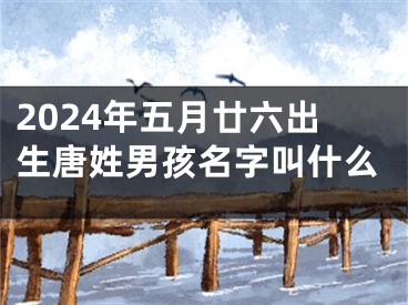 2024年五月廿六出生唐姓男孩名字叫什么