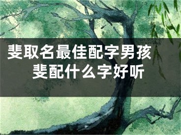 斐取名最佳配字男孩 斐配什么字好听