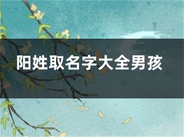 阳姓取名字大全男孩
