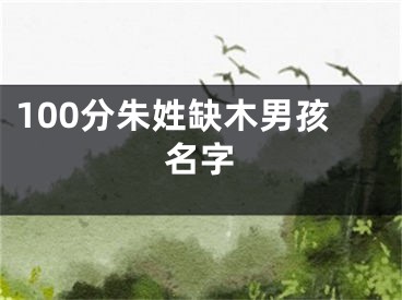100分朱姓缺木男孩名字