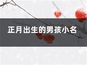 正月出生的男孩小名
