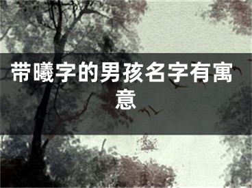 带曦字的男孩名字有寓意