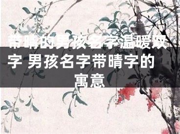 带晴的男孩名字温暖双字 男孩名字带晴字的寓意
