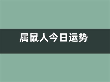 属鼠人今日运势