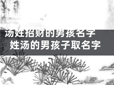 汤姓招财的男孩名字 姓汤的男孩子取名字