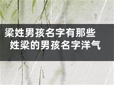 梁姓男孩名字有那些 姓梁的男孩名字洋气