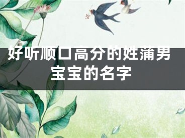 好听顺口高分的姓蒲男宝宝的名字