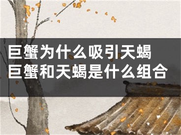 巨蟹为什么吸引天蝎 巨蟹和天蝎是什么组合