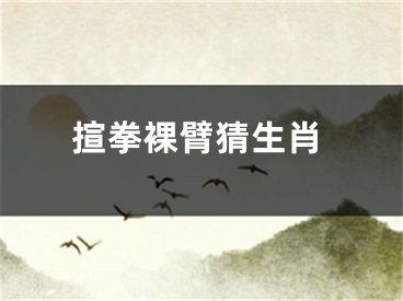 揎拳裸臂猜生肖