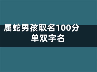 属蛇男孩取名100分单双字名