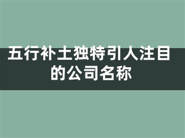 五行补土独特引人注目的公司名称