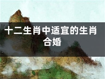 十二生肖中适宜的生肖合婚