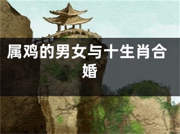 属鸡的男女与十生肖合婚