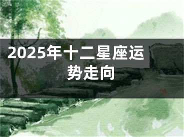 2025年十二星座运势走向