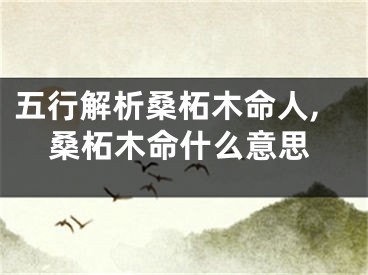 五行解析桑柘木命人,桑柘木命什么意思