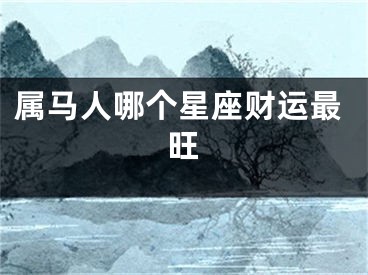 属马人哪个星座财运最旺