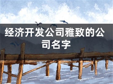 经济开发公司雅致的公司名字