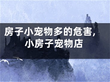 房子小宠物多的危害,小房子宠物店