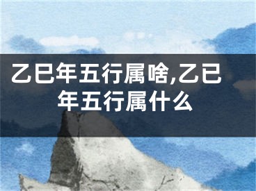 乙巳年五行属啥,乙已年五行属什么
