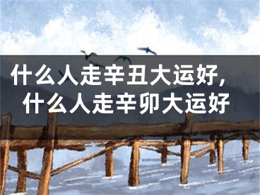 什么人走辛丑大运好,什么人走辛卯大运好