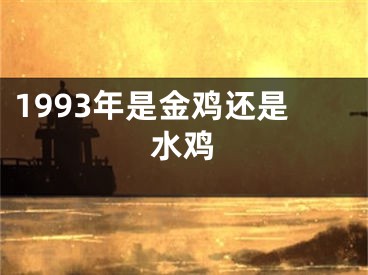 1993年是金鸡还是水鸡