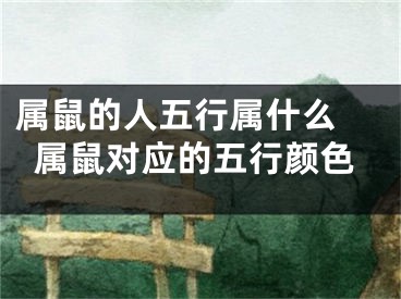 属鼠的人五行属什么 属鼠对应的五行颜色
