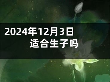 2024年12月3日适合生子吗