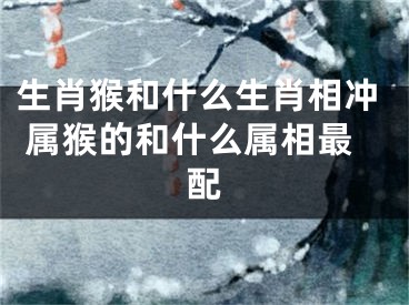 生肖猴和什么生肖相冲 属猴的和什么属相最配
