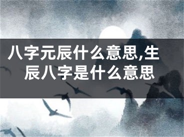 八字元辰什么意思,生辰八字是什么意思
