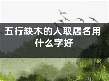五行缺木的人取店名用什么字好