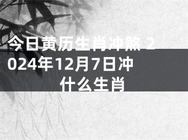 今日黄历生肖冲煞 2024年12月7日冲什么生肖