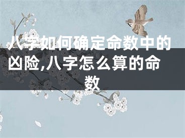 八字如何确定命数中的凶险,八字怎么算的命数