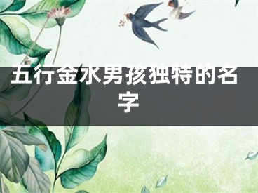 五行金水男孩独特的名字