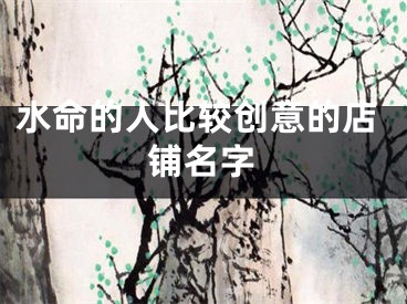 水命的人比较创意的店铺名字
