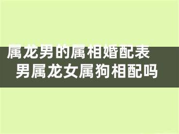 属龙男的属相婚配表 男属龙女属狗相配吗