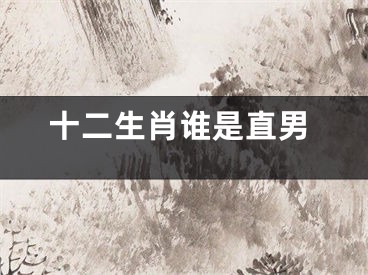 十二生肖谁是直男