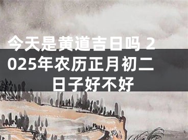 今天是黄道吉日吗 2025年农历正月初二日子好不好