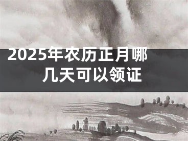 2025年农历正月哪几天可以领证