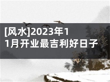 [风水]2023年11月开业最吉利好日子