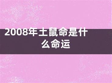 2008年土鼠命是什么命运